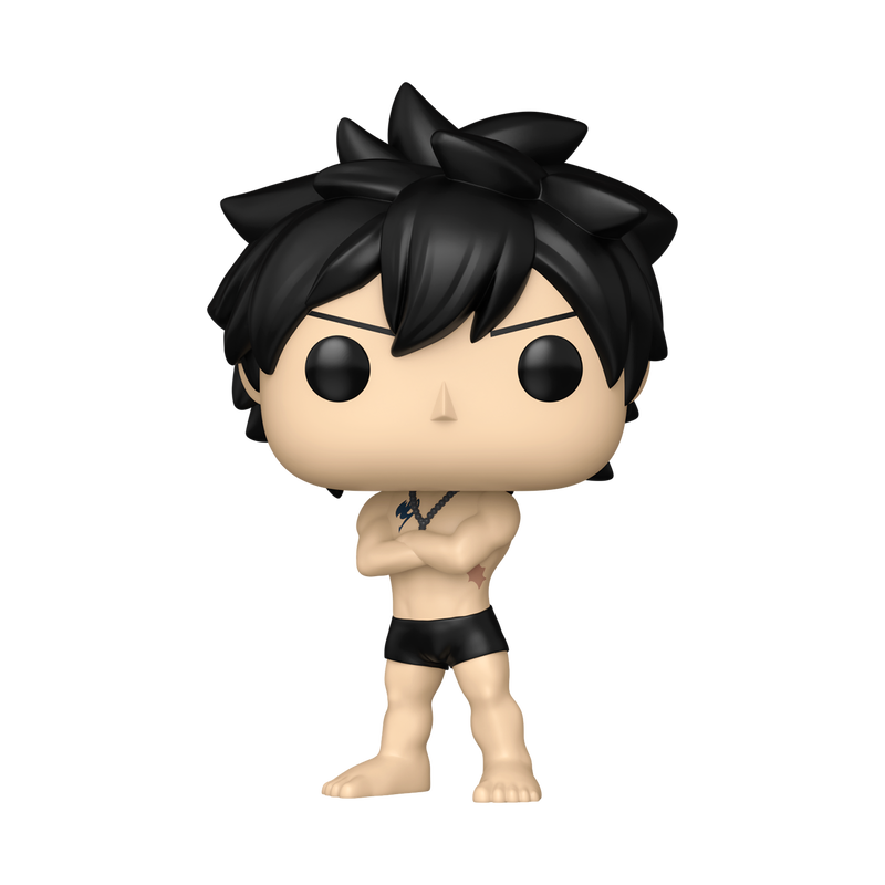 Bundle Funko Pops - Fairy Tail 100 Years Quest - Gray (Standard + Chase)